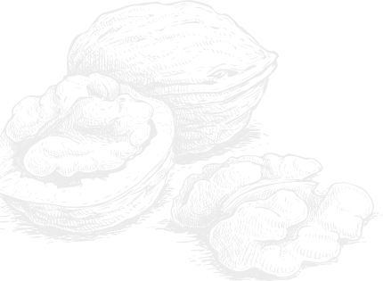 ceviz